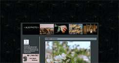 Desktop Screenshot of alisphoto.blogg.se