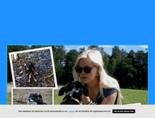 Tablet Screenshot of denmodigelillagrisen.blogg.se