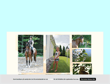 Tablet Screenshot of funhorselife.blogg.se