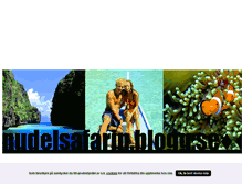 Tablet Screenshot of nudelsafarin.blogg.se