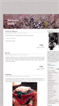Mobile Screenshot of medkamera.blogg.se